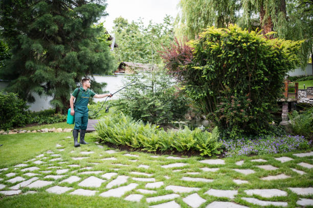 Best Exterminator Services  in St Henry, OH