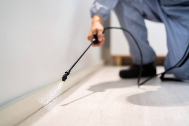 Professional Pest Control in St Henry, OH